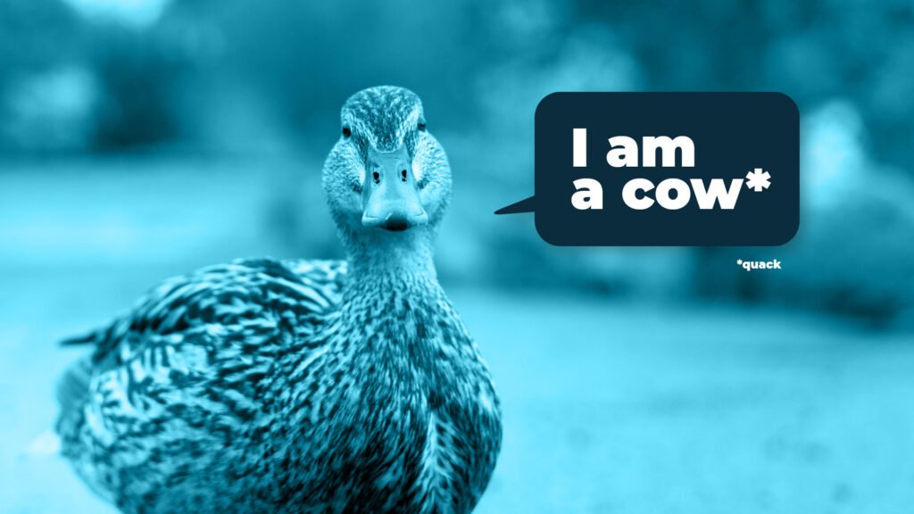 Congruency and brands - duck