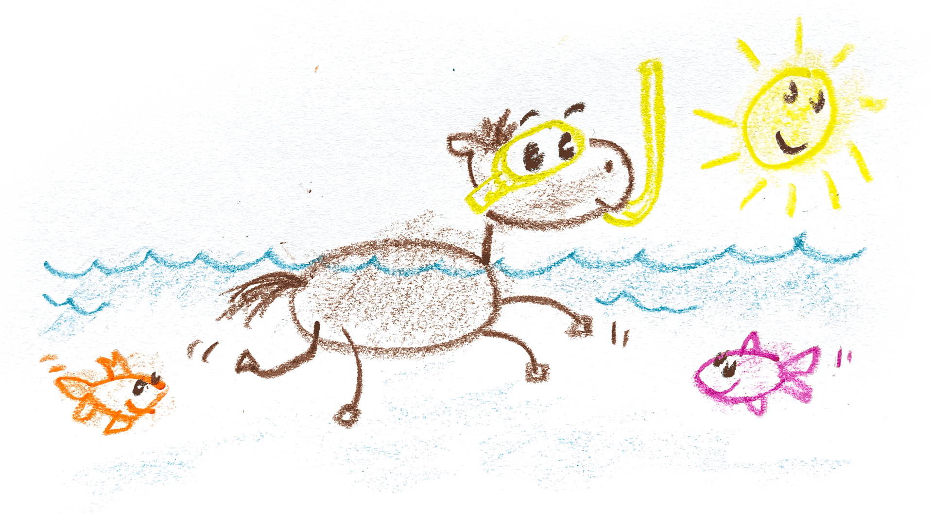 brand basics - Horse swimming in water